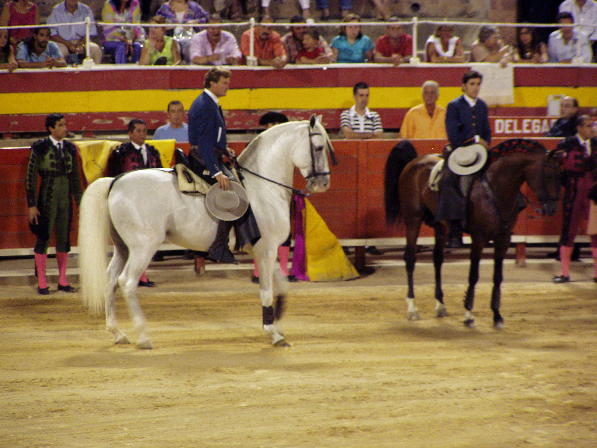 P8210138.JPG